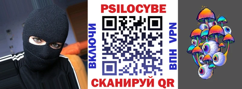 Псилоцибиновые грибы Psilocybe Нефтегорск